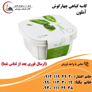 کاسه گیاهی چهارگوش