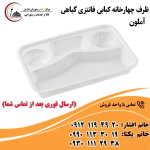 ظرف چهارخانه کبابی فانتزی گیاهی آملون