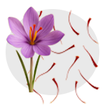 زعفران