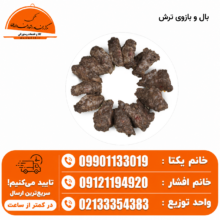 بال و بازو ترش ۵ کیلویی