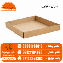 سینی غذای مقوایی