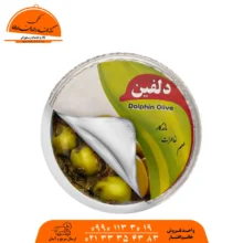 زیتون پرورده ممتاز  دلفین پر گردو (کارتنی)