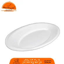 دیس فوم کوچک کد ام 26 کاسپین 500 عددی