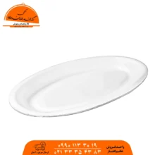 دیس فوم بزرگ کد ام 28 کاسپین 500 عددی