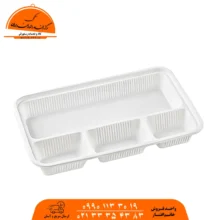 ظرف چهارخانه کبابی یکبار مصرف گیاهی