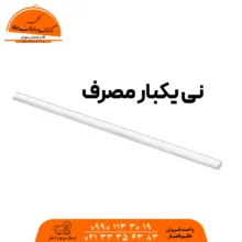 نی یکبار مصرف گیاهی آملون